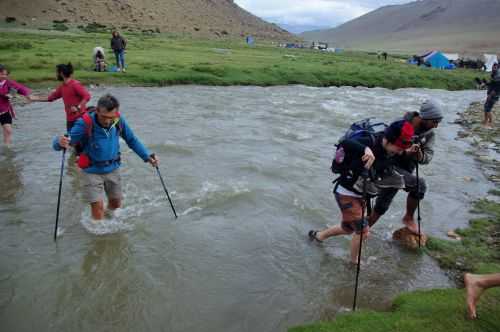 TREKKING IN LADAKH | CHANGTANG 2017